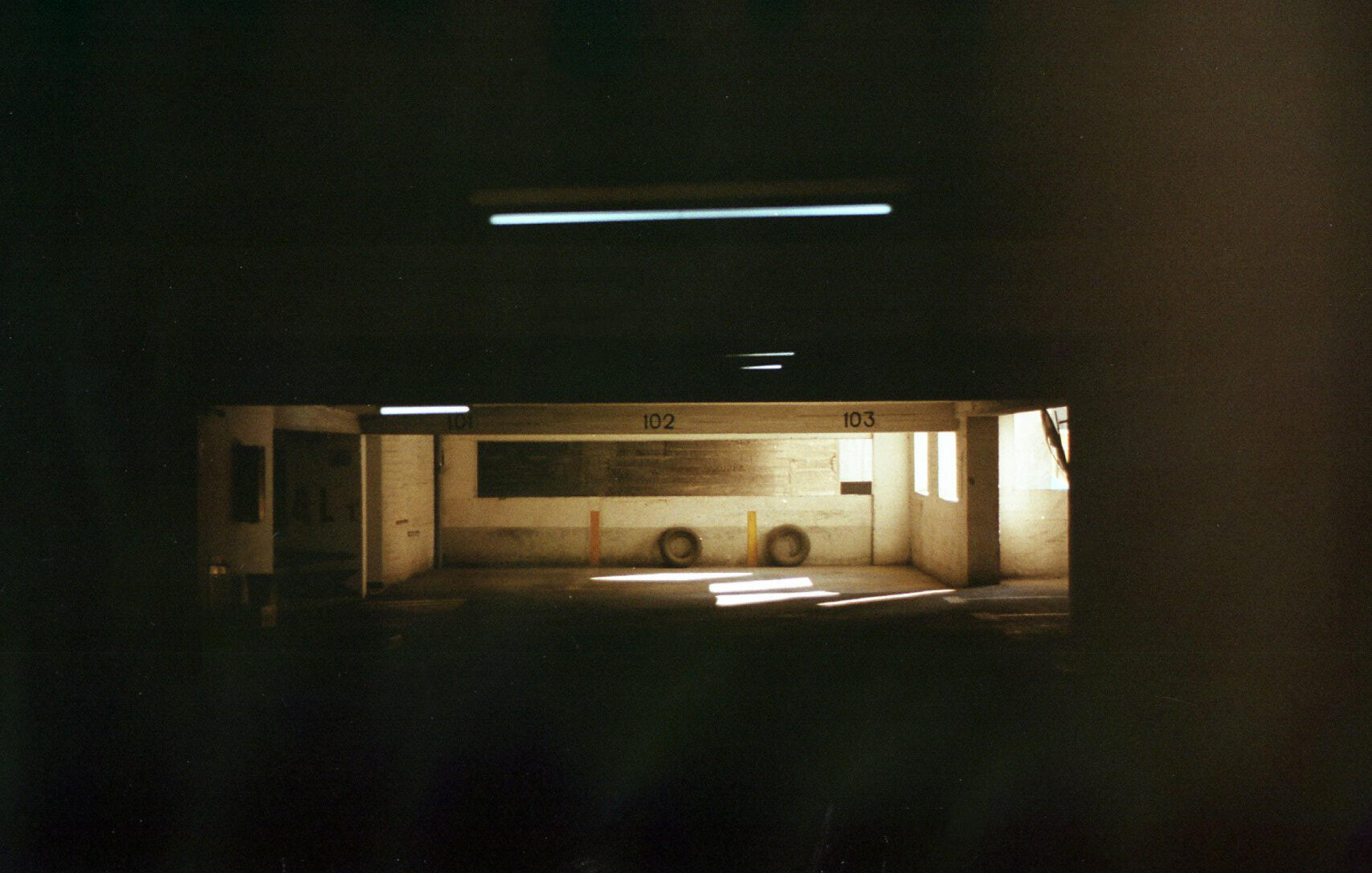 2025 • Canon EOS 100, Fujifilm 200