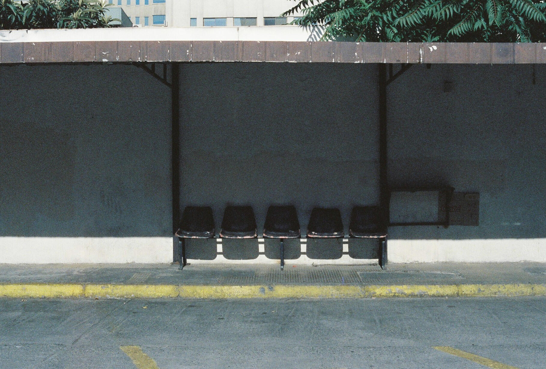 2025 • Canon EOS 100, Reflx Lab 800