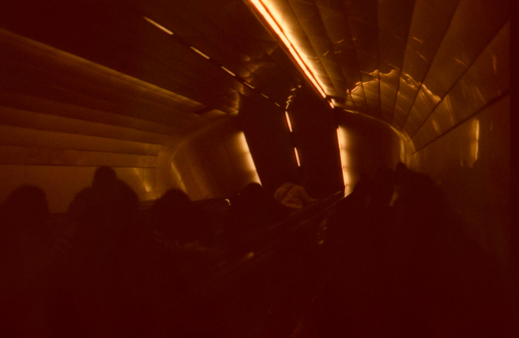 2025 • Canon EOS 100, Phoenix 200