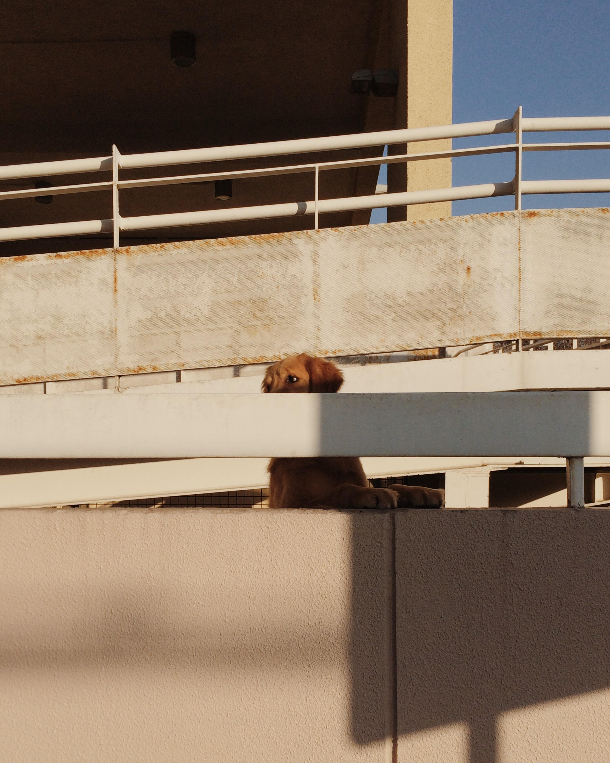 Providencia, Chile (2017, iPhone 5s)