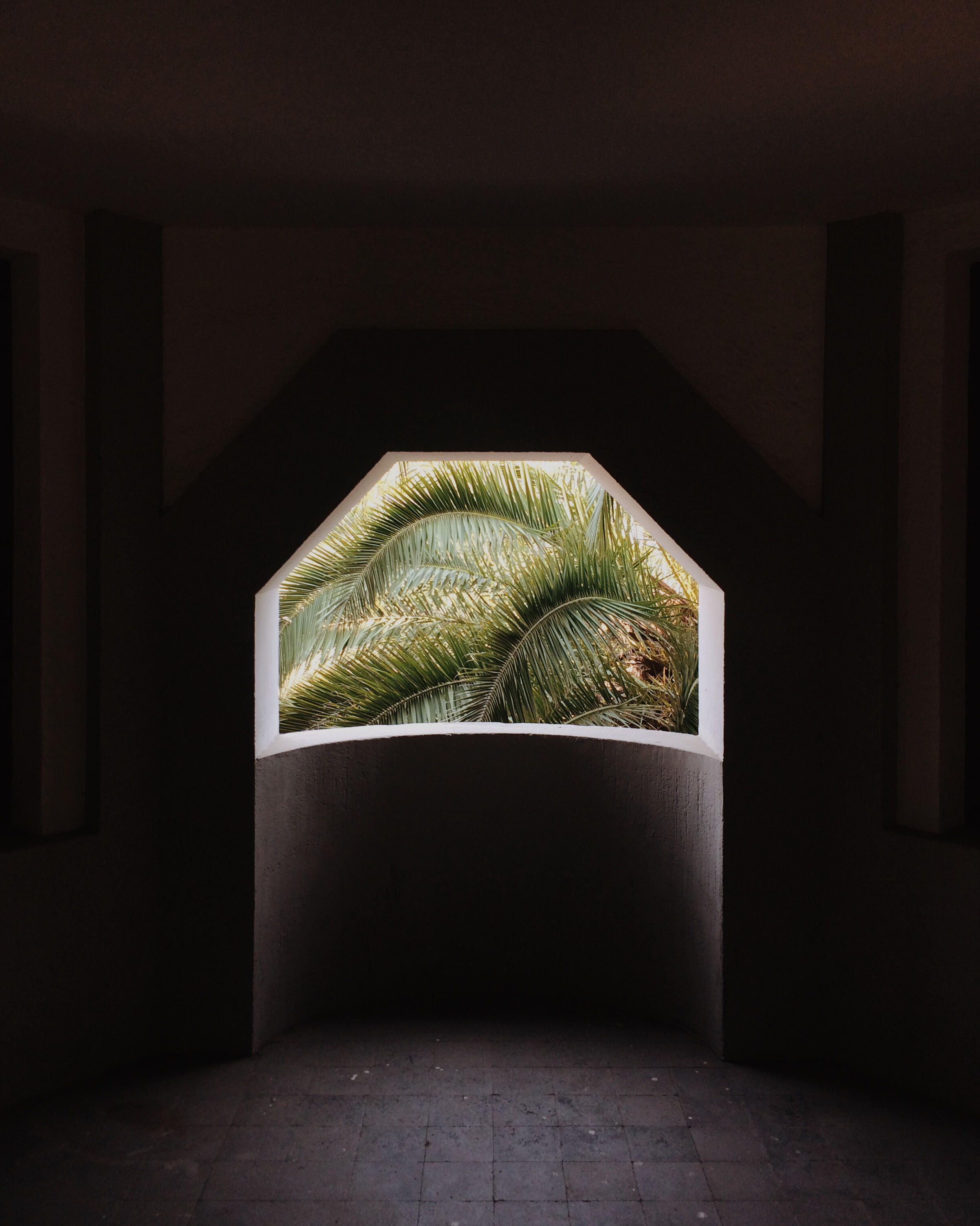 Cementerio General de Santiago, Chile (2017, iPhone 5s)